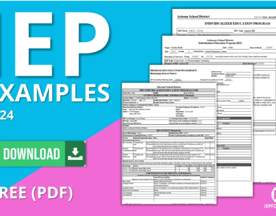 A visual representation of IEP examples in 2024 across different states, showcasing diverse approaches to special education